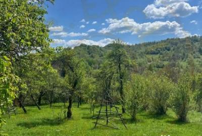 Casă cu 2 camere cu Canalizare în Căpățânenii Pământeni - 5