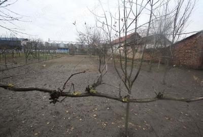 Casă cu 3 camere cu Teren 1128 Mp în Pustiniș - 1