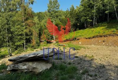 18000 mp de natura pura ,Lupeni, langa Straja - 31