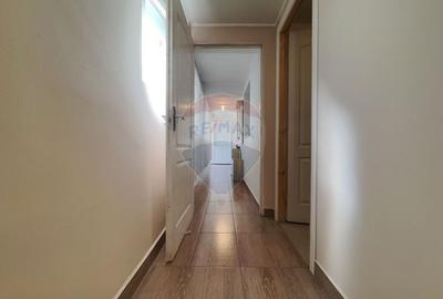 Casă cu 2 camere cu Teren 2261 Mp în Pișchia - 3