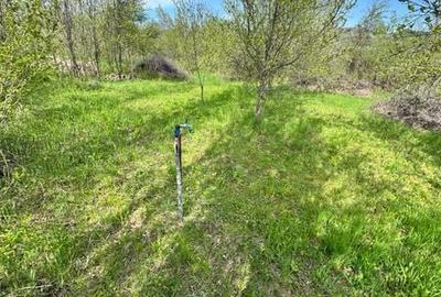 Teren de 1872 mp, în Moțăieni - 4