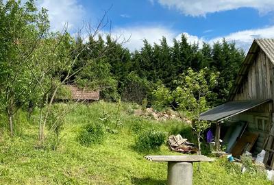 VAND teren cu casa intravilan aproape de oradea in Uileacu De Munte - 1