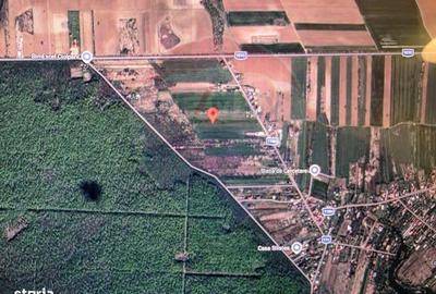 Teren de 704 mp, în Ciolpani - 3