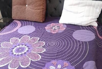 Apartament cu 2 camere decomandat în Unirii