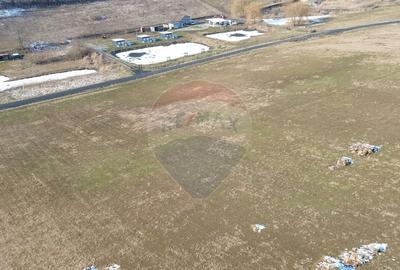 Teren pentru cabana 7.000mp in Hoghilag, Taramul Tubero... - 5