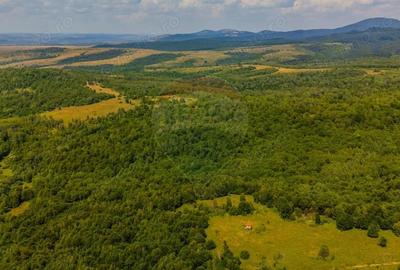 COMISION 0% Teren 1020mp / Intravilan/PUZ/ Grid - 3