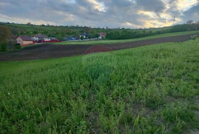 Teren de 2983 mp, în Târnăveni - 4