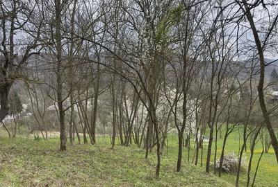 Teren de 3513 mp, în Vișinești - 3