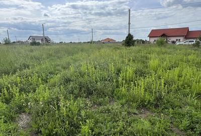 Teren Intravilan Dudestii Noi 638mp,Fs 24m,Utilitatile In Fata Parcelei,Asflat - 2