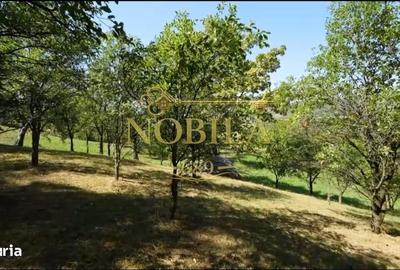 Teren de 10537 mp, în Bogdănești - 11