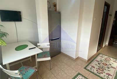 Garsonieră decomandată, mobilată în Colentina - 8