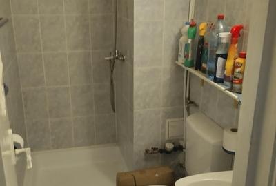 Garsonieră semidecomandată în Costin Georgian - 7