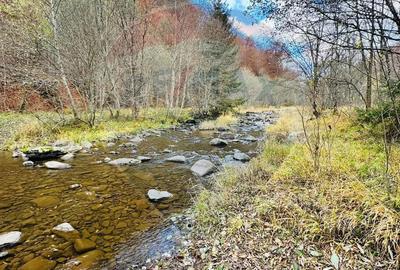 Teren 4,877mp Mara / Strada Principala - 2