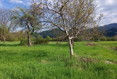 Teren de 1240 mp, în Vad - 8