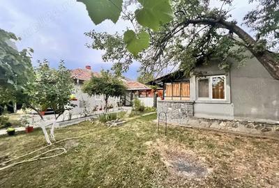 Cauti locatia perfecta . - 7