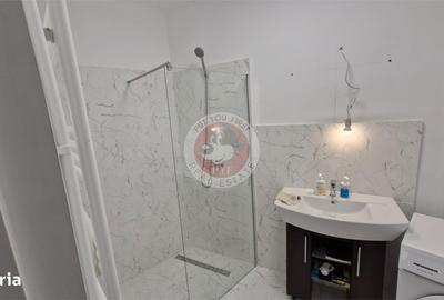 Apartament cu 2 camere semidecomandat în Romană - 7