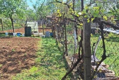 Casă cu Teren 2000 Mp în Vintere - 1