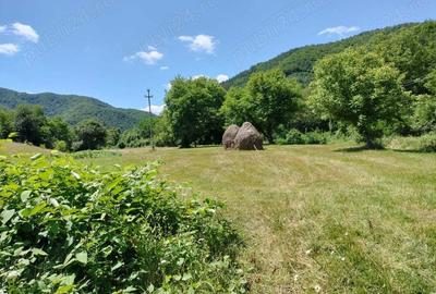Teren de 3562 mp, în Vața de Sus - 10