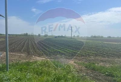 Teren Construcții intravilan de 6084 mp, în Jorăști - 3