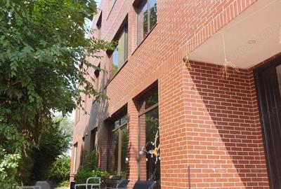 Oportunitate investitie Vila Rosu 473mp, 2500 mp teren, cu deschidere la Lac - 4