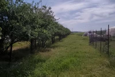 Casă cu 3 camere în Filipeștii de Târg - 5