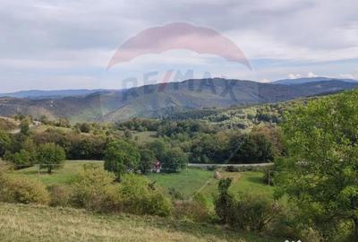 Teren de 3082 mp, în Damiș - 2