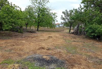 Casă cu 2 camere în Basarabi - 4