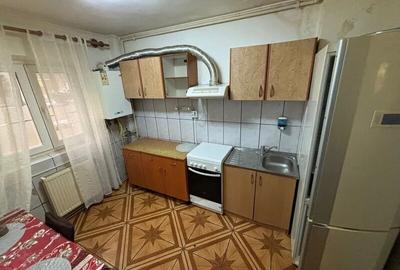 Colentina Rau, Mc Donalds, Parc Plumbuita, Centrala Termica, investitie, 2bai, - 6