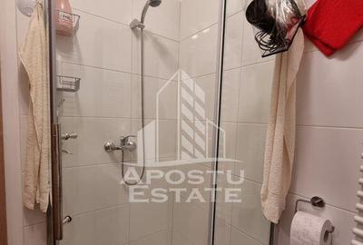 Apartament de lux 2 camere, loc de parcare, Buziasului/Mo... - 10