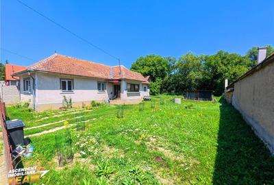 Casa luminoasa de 107 mp, 1.000mp teren, 250 m de izvorul cu - 18