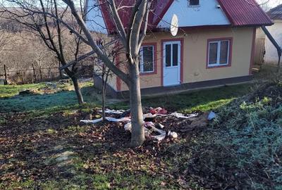 Casă cu 2 camere în Schitu Duca - 4