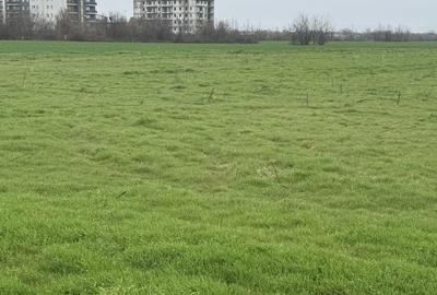 Spațiu comercial, în Hipodrom - 3