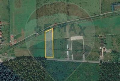 Teren de vanzare industrial Lapusel - 3