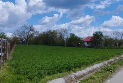 SUPER OCAZIE SE VINDE TEREN LA CEL MAI MIC PRET LA DELTA NEAJLOVULUI BUDENI GR - 1