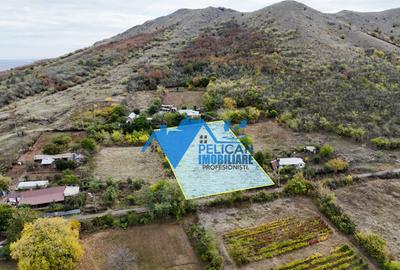 Teren intravilan NICULITEL, zona deosebita, 3044MP - 5