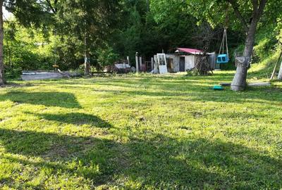 Casă individuală cu 2 camere cu Teren 600 Mp în Conop - 14