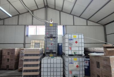 Hala de Inchiriat | Pallady | 400MP - 4