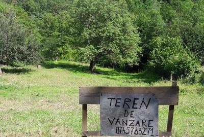 Teren de 3300 mp, în Glod - 5