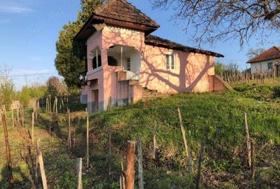 Casă cu Teren 5000 Mp în Gura Motrului - 3