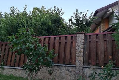Casă cu 6 camere cu Teren 1100 Mp în Cozia - 9