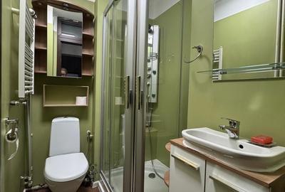 Apartament cu 4 camere semidecomandat, mobilat în Gorjului - 28