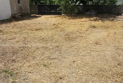 Casa de vanzare Afumati - 6