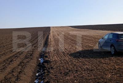 Teren de 4200 mp, în Central