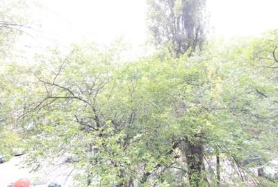 Inchiriere garsoniera renovata|Tineretului|Timpuri Noi|Centrala Proprie - 11
