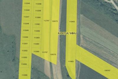 Parcele teren pentru cabane Sibiu -Dealul Daii -Casolt,  direct de la proprietar - 9