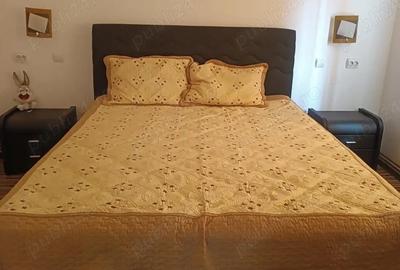 Casă cu Teren 2000 Mp în Chiselet - 6