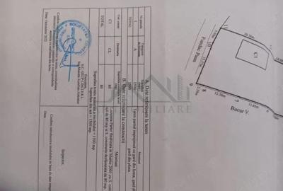 Bucium, Fundac Paun, teren1500mp. casa veche, locuibila, 80mp.cu utilitati - 2