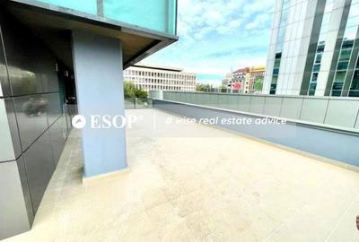 Spațiu comercial, de 258 mp, în Romană - 2