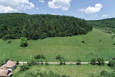 Teren de 8000 mp, în Micești