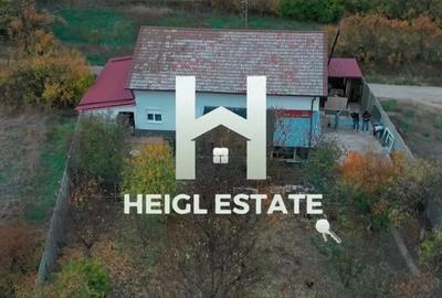 Casa in Pischia cu comision 0% - 9